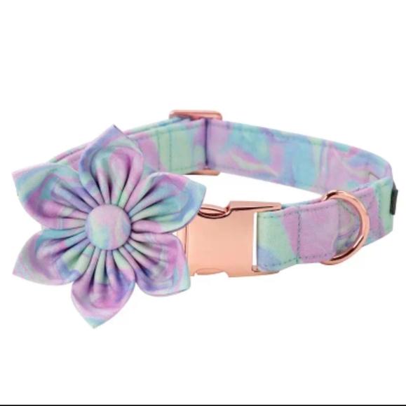 Unique Style Paws Other - Dog Collar With Flower, Pastel Pattern NIP Sz M Adjustable